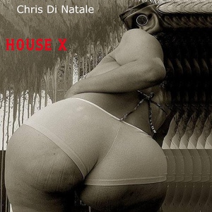 Обложка для CHRIS DI NATALE - House X
