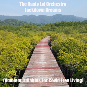 Обложка для The Nasty Lol Orchestra - Covid Drone