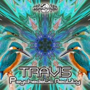 Обложка для Travis - Psychedelic Reality