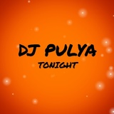 Обложка для Dj Pulya - TONIGHT