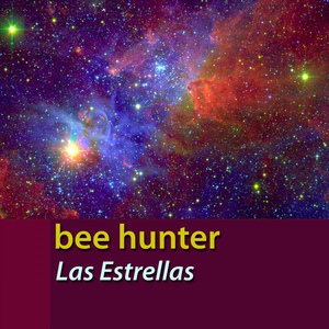 Обложка для Bee Hunter - Las Estrellas