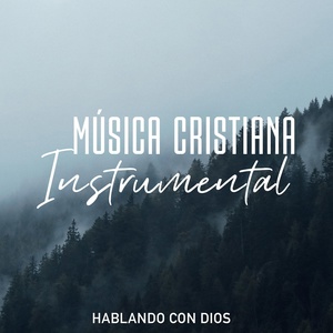 Обложка для MUSICA CRISTIANA INSTRUMENTAL - Hay una Fuente en Mi