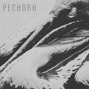 Обложка для Pechora - Темные воды