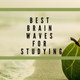 Обложка для Brainwaves Mike - Richard Zen