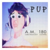 Обложка для PUP - A.M. 180