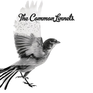 Обложка для The Common Linnets - Love Goes On
