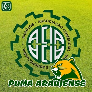 Обложка для Cidadão só, Ruan Mattos - Puma Araujense