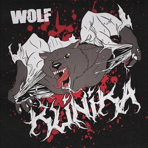 Обложка для Wolf Savage - District