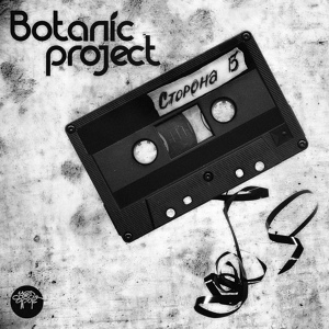 Обложка для Botanic Project - Грустная песня