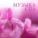 Обложка для Spa Music Paradise - Успокаивающие пиано