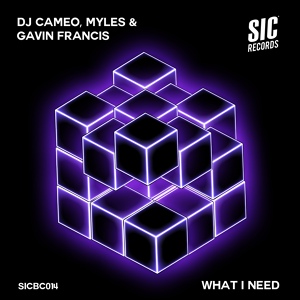 Обложка для DJ Cameo, Myles, Gavin Francis - What I Need