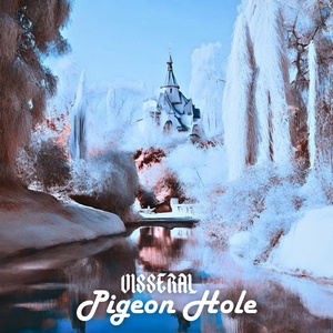 Обложка для Visseral - Pigeon Hole