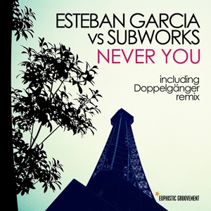 Обложка для Esteban Garcia vs Subworks - Never You (instrumental version)