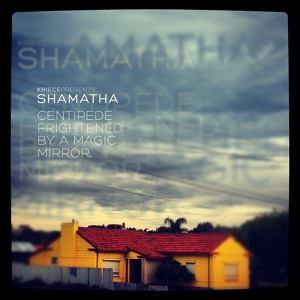 Обложка для Shamatha - Megalodon
