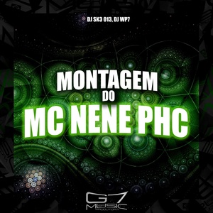 Обложка для DJ SK3 013, DJ WP7 - Montagem do Mc Nene Phc