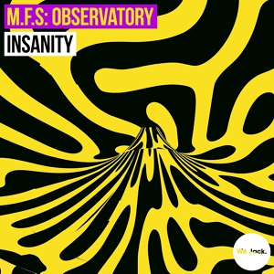 Обложка для M.F.S: Observatory - Insanity