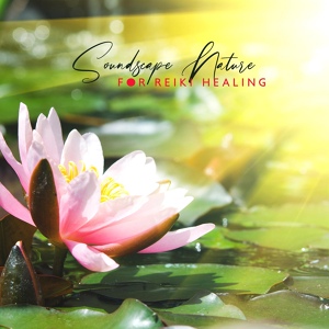 Обложка для Chakra Healing Music Academy - Touch of Healing