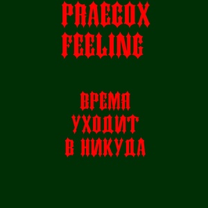 Обложка для praecox feeling - Паучий шелк