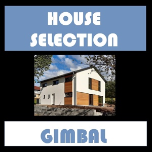 Обложка для Gimbal - My Pet Axolotl