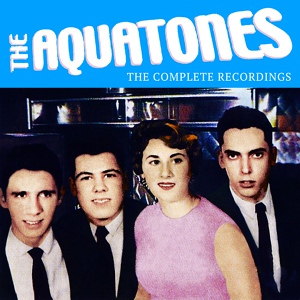 Обложка для The Aquatones - Everytime