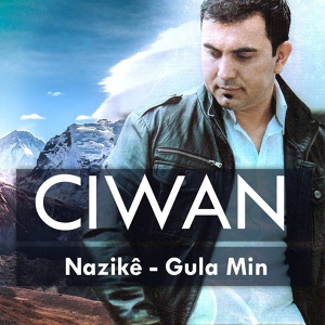 Обложка для Ciwan - Delal