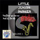 Обложка для Little Junior Parker - Bagtracking