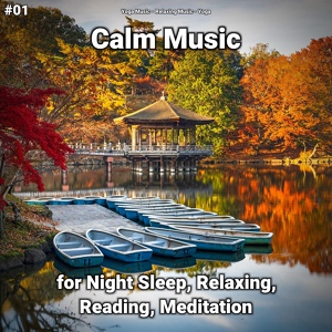 Обложка для Yoga Music, Relaxing Music, Yoga - Calm Music Part 38