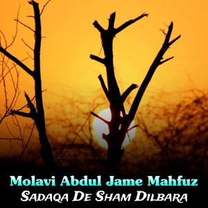 Обложка для Molavi Abdul Jame Mahfuz - Bia Safe Da Helmand