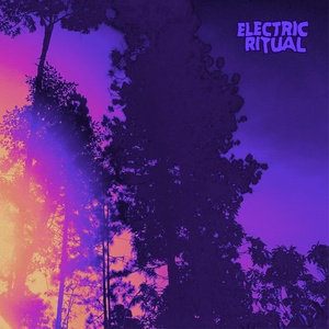 Обложка для Electric Ritual - Losing your mind