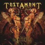 Обложка для Testament - Hammer of the Gods