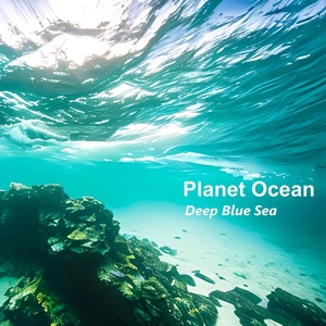 Обложка для Planet Ocean - Deep Blue Sea