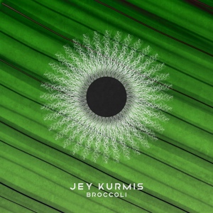 Обложка для Jey Kurmis - Kurmissed