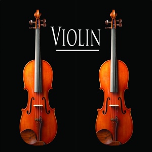 Обложка для Violin - Eine Klene Nachtmusik Rondo