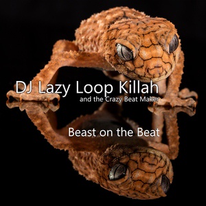 Обложка для DJ Lazy Loop Killah and the Crazy Beat Maker - Gamer with a Plan B Hip Hop Backing Track