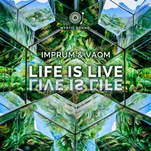 Обложка для Imprum, Vaqm - Life Is Live