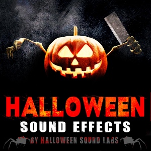 Обложка для Halloween Sound Labs - Halloween Soundscape of Ghost Castle