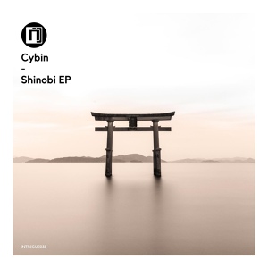 Обложка для Cybin - Shinobi