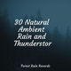 Обложка для Lluvia, Sounds of Rain & Thunder Storms, Monarch Baby Lullaby Institute - Light Rains