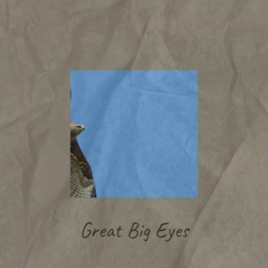 Обложка для The Orioles/The Rivieras - Great Big Eyes