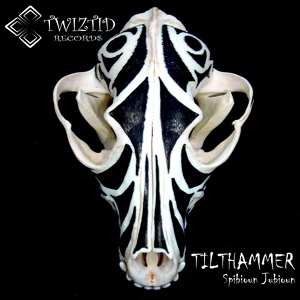 Обложка для Tilthammer - A Million On My Soul