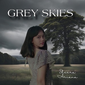 Обложка для Sheera Ariana - Grey Skies