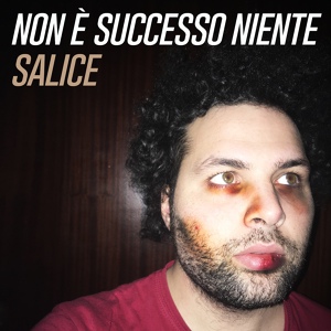 Обложка для Salice - Non è successo niente