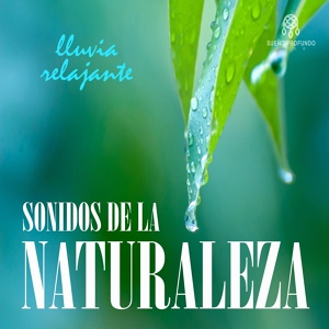 Обложка для Lluvia del Bosque, Lluvia para Dormir, Sueño Profundo Club - Sonidos de la Naturaleza: Lluvia Relajante, Pt. 07