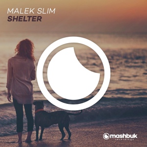 Обложка для Malek Slim - Shelter