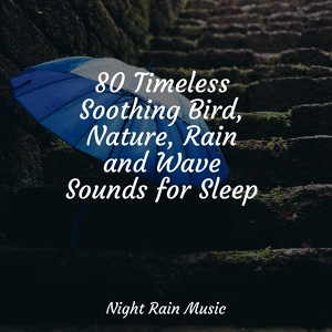 Обложка для Tranquil Music Sounds of Nature, Rain Makers, Pink Noise - Forest Ambience, Strong Wind, Rain