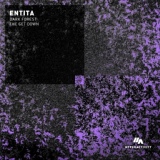 Обложка для Entita - Dark Forest