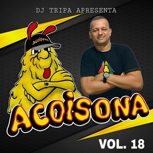 Обложка для Acoisona, Dj Tripa - Sampaio Rato Molhado