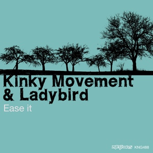 Обложка для Kinky Movement, Ladybird - Ease It