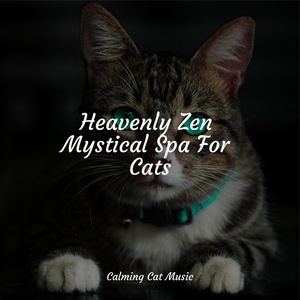 Обложка для Cat Music Therapy, Music For Cats TA, RelaxMyCat - Music for Meditation