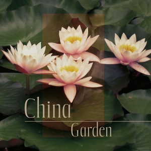 Обложка для Tao Te Ching Music Zone - Sunrise (Flute, Gong)